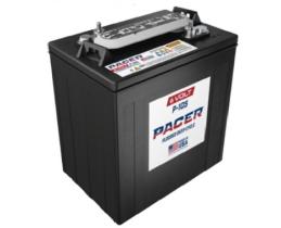 6 VOLTIOS DEEP-CYCLE FLOODED  PACER